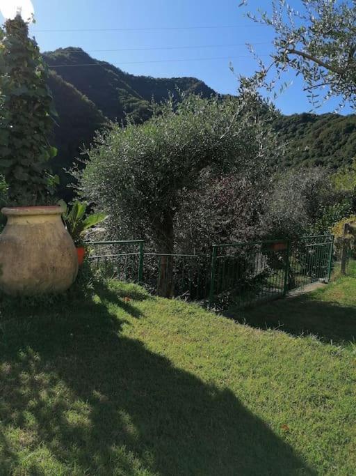 Willa Casa Andreina Salto Chiesa Zewnętrze zdjęcie